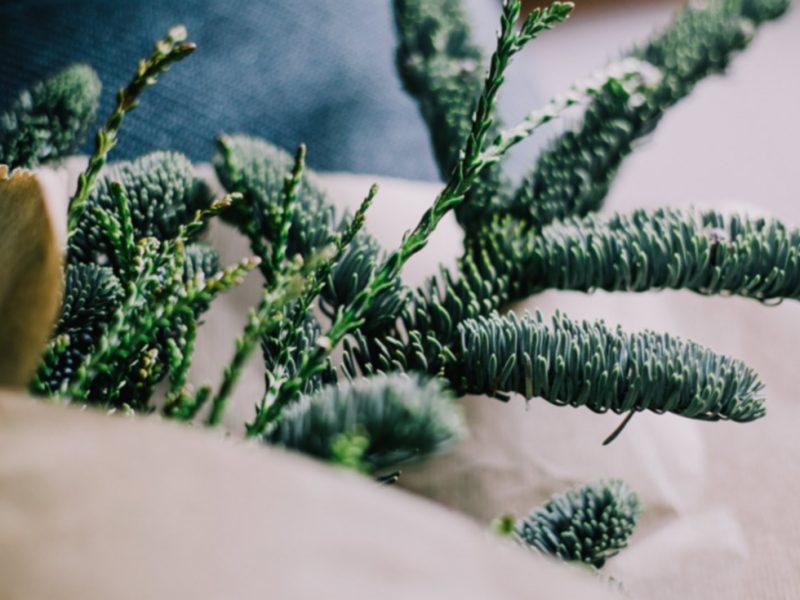 illustration layouts